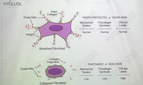 процедура редермализации семинар