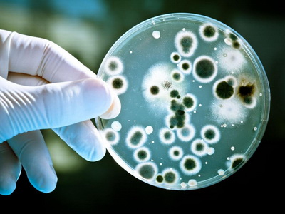 дезинфекция в салоне