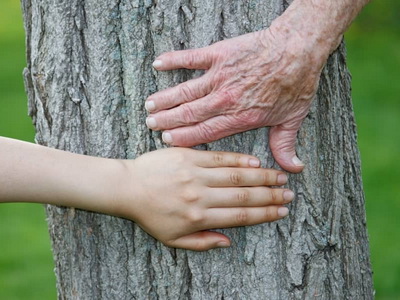 косметические процедуры для рук