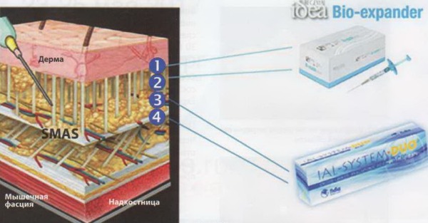 биореволюметрив в виннице