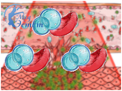 фотодинамическая терапия в дерматологии фотодинамическая терапия в дерматологии