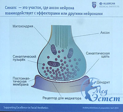 коррекции морщин периорбитальной зоны
