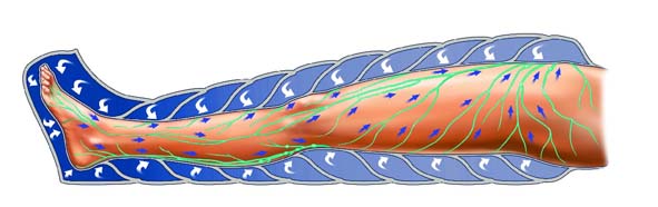 pressoterapia Vinnitsa cosmetologia